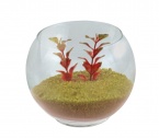 FB 005 135X110mm a 4€